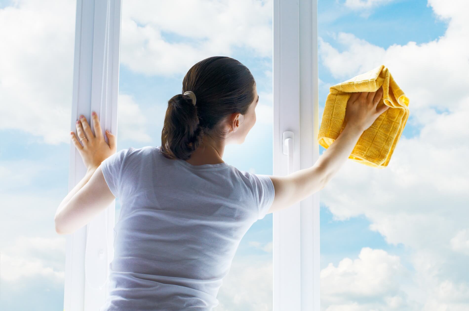 Interior Window Cleaning